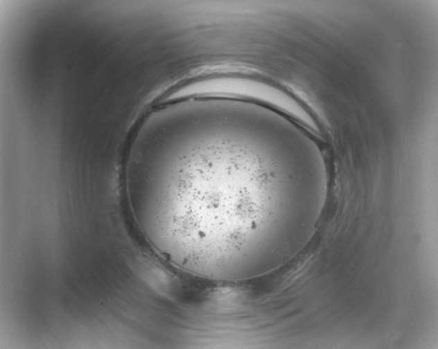 X0000068850111200605051223