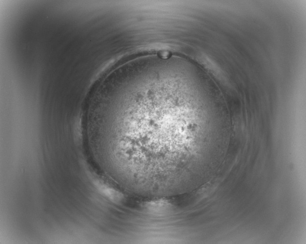 X0000068850112200605051223