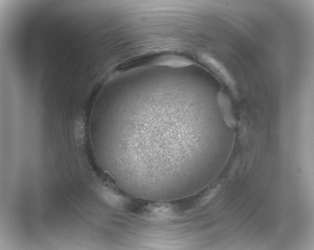 X0000068850113200605051223