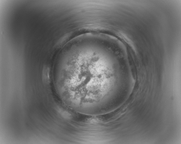 X0000068850115200605051223