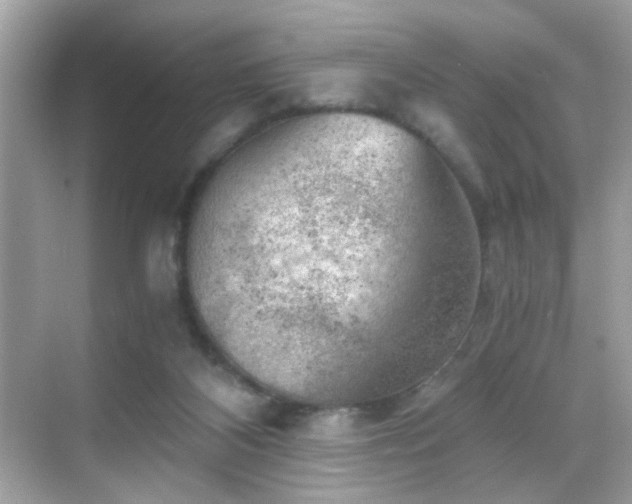 X0000068850116200605051223