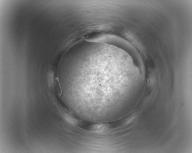 X0000068850117200605051223