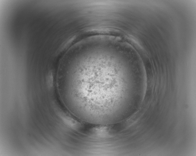 X0000068850120200605051223