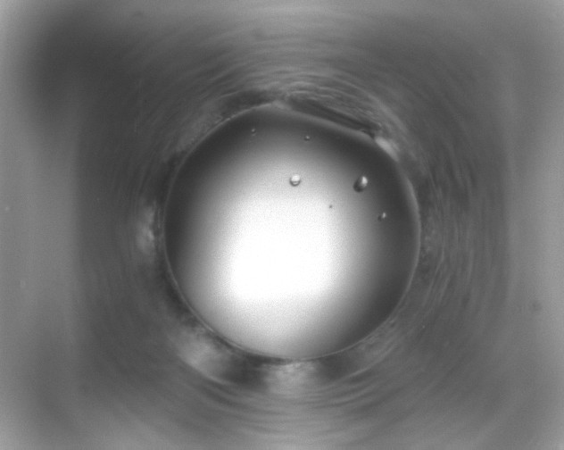 X0000068850122200605051223