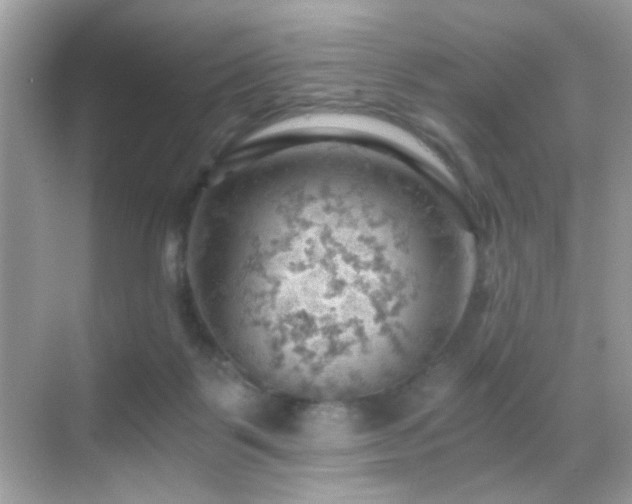 X0000068850123200605051223