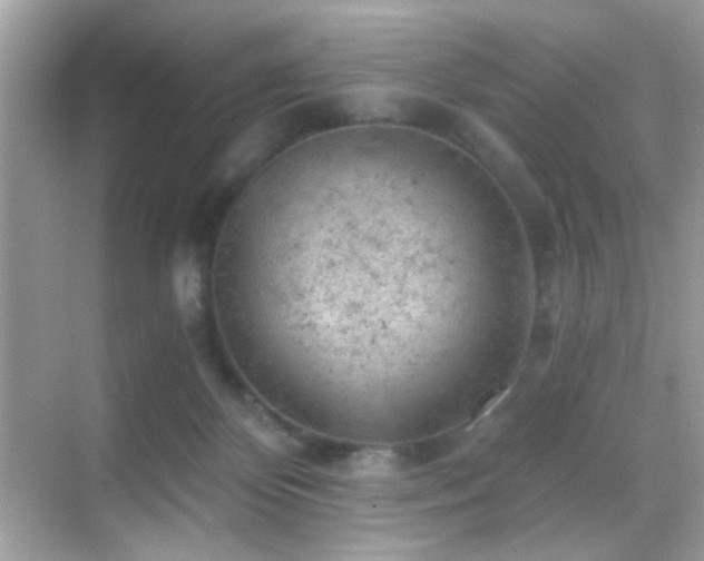 X0000068850124200605051223