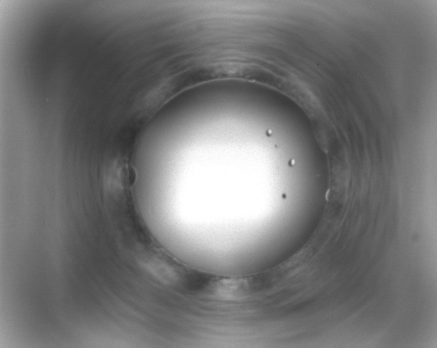 X0000068850126200605051223