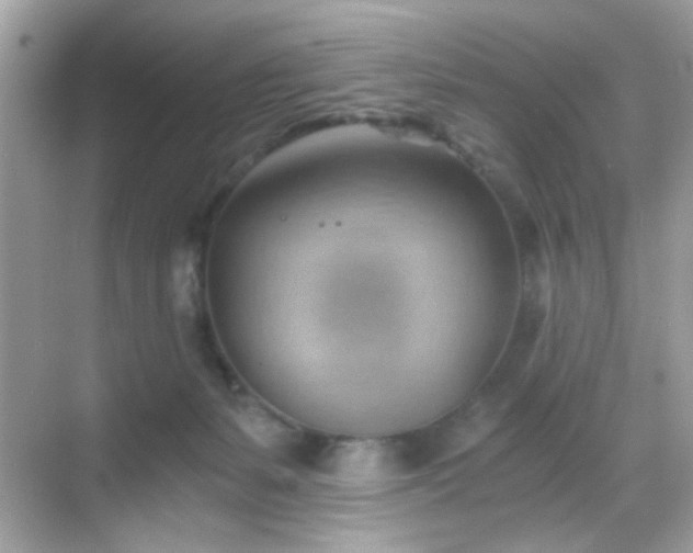 X0000068850127200605051223