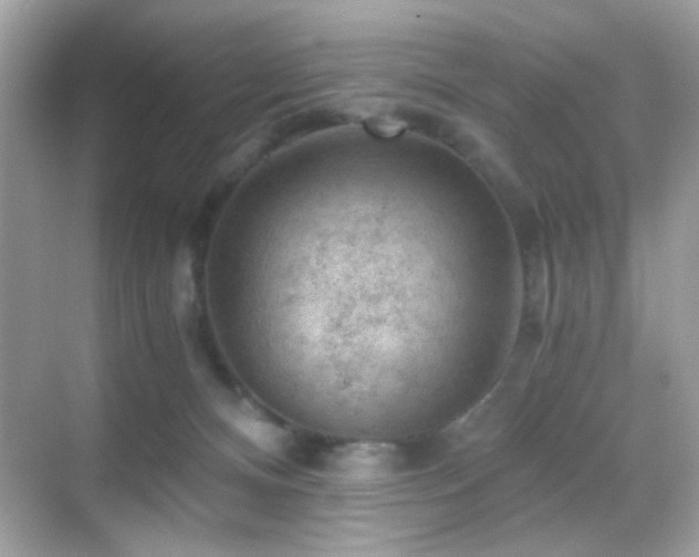 X0000068850128200605051223