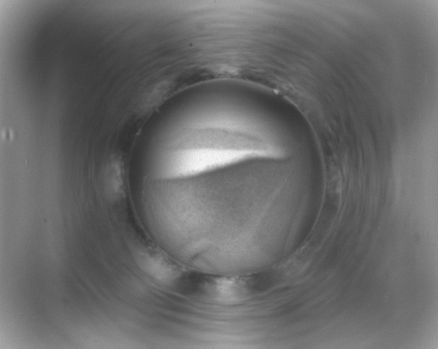 X0000068850130200605051222