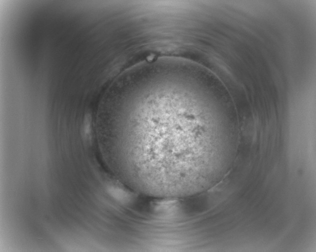 X0000068850132200605051222