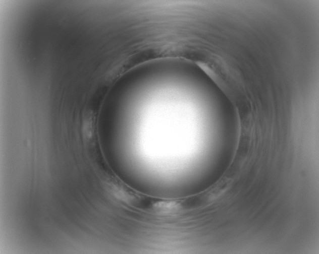 X0000068850133200605051222