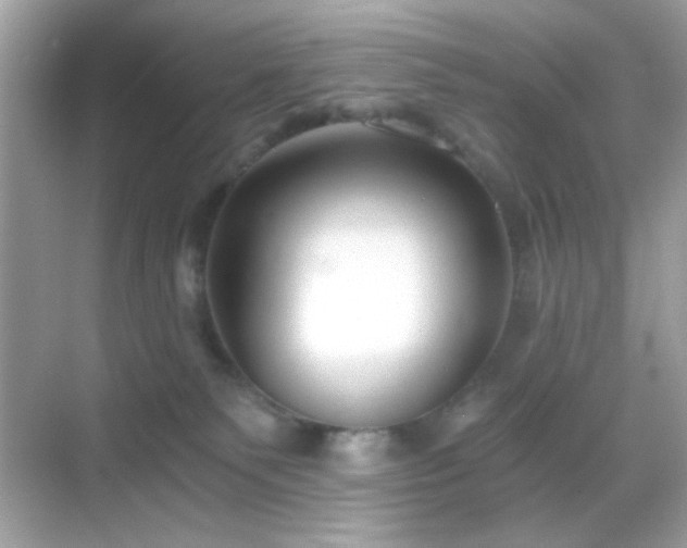 X0000068850135200605051222