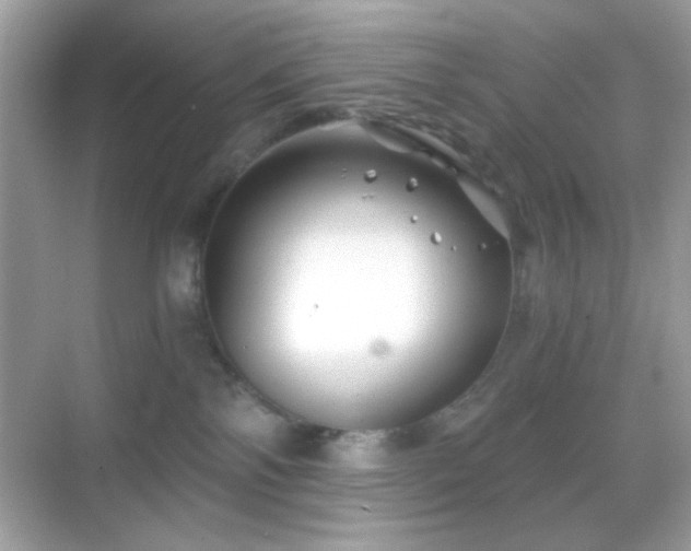 X0000068850138200605051222