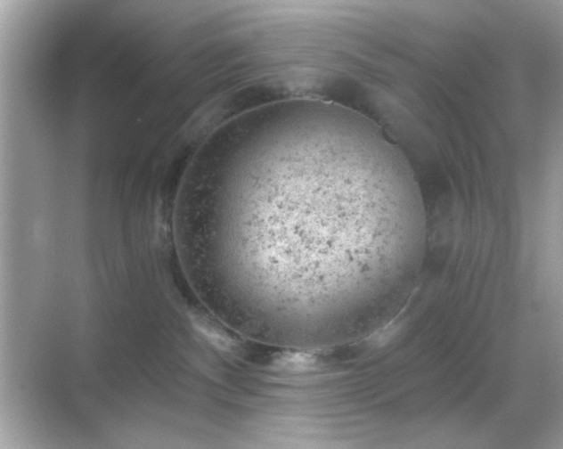 X0000068850140200605051222