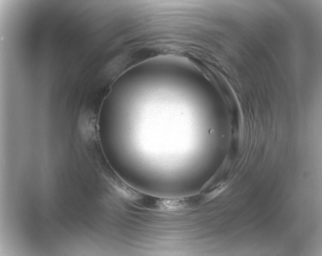 X0000068850141200605051222