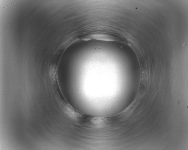 X0000068850142200605051222