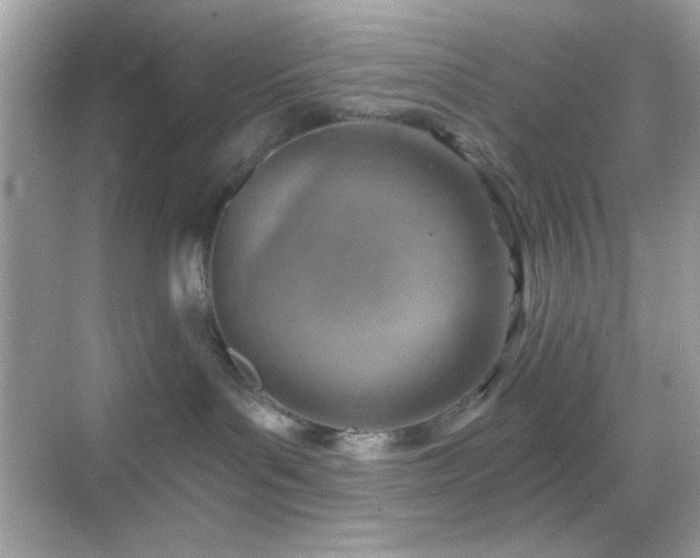 X0000068850143200605051222