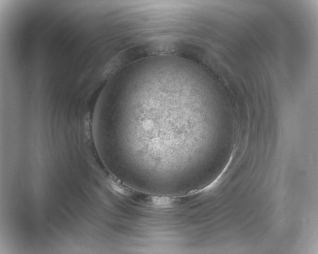 X0000068850144200605051222