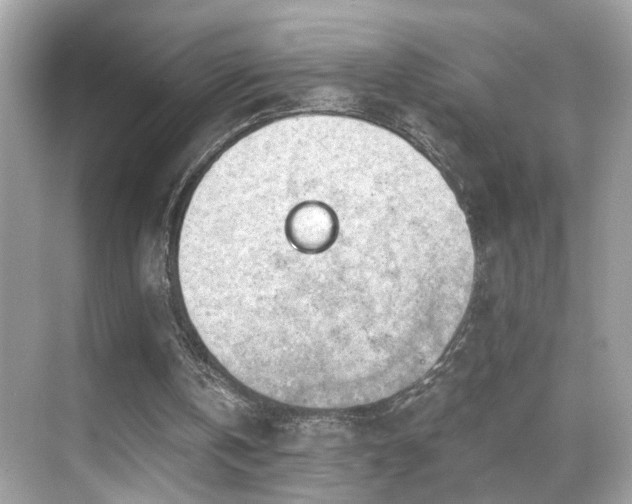 X0000068850146200605051221