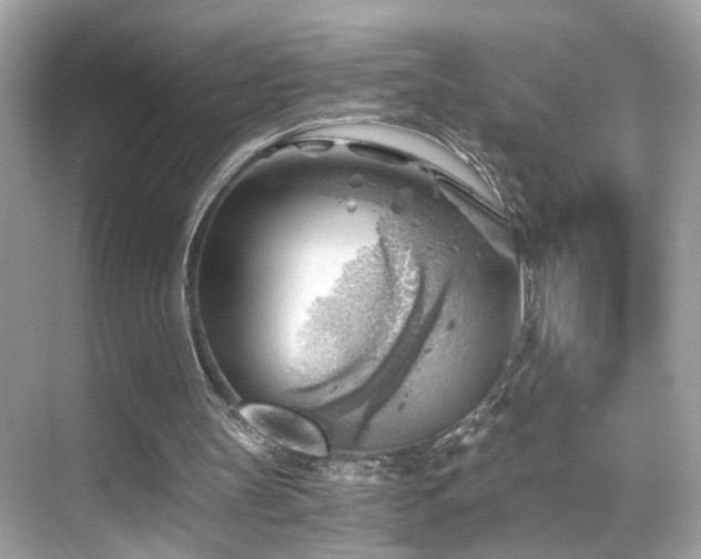 X0000068850147200605051221