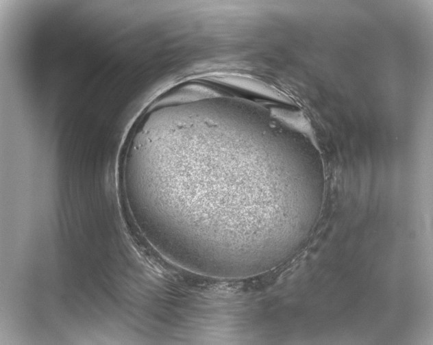 X0000068850148200605051221