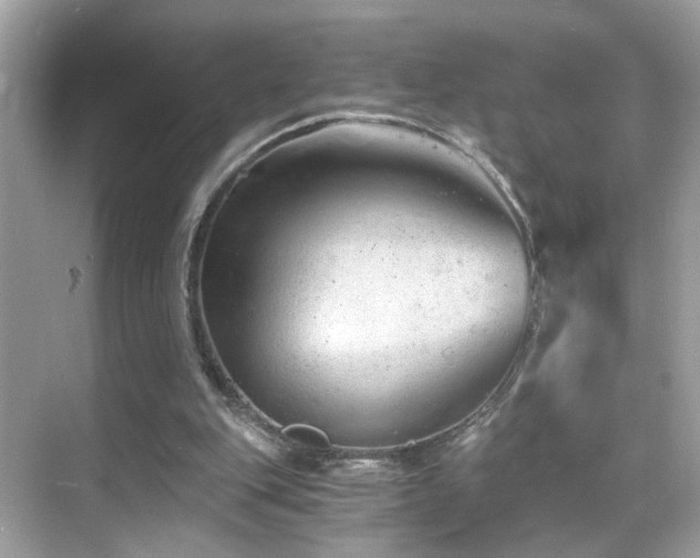 X0000068850151200605051222