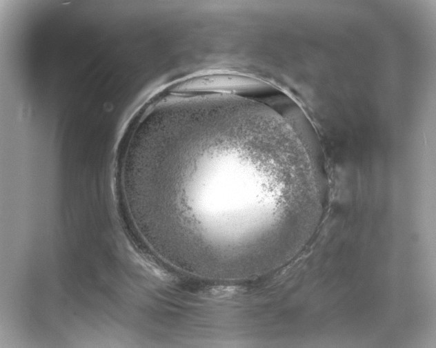 X0000068850152200605051222