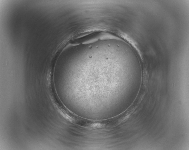 X0000068850153200605051222