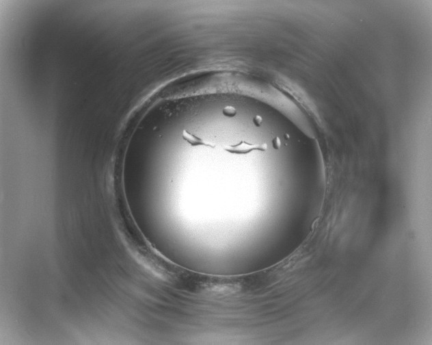 X0000068850155200605051222