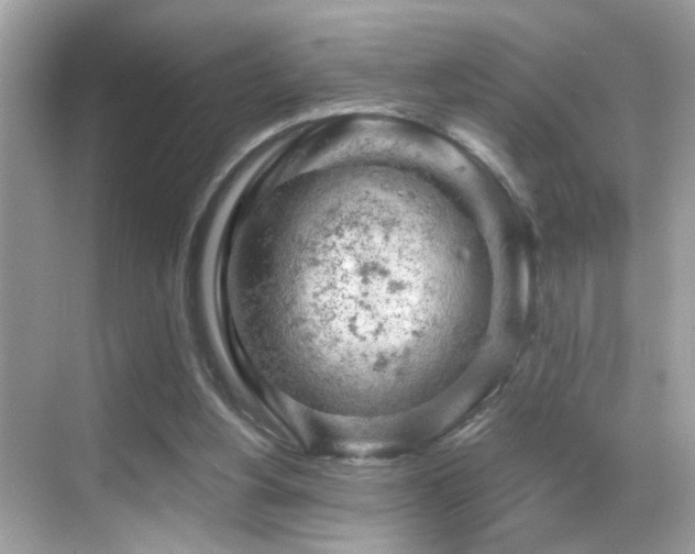 X0000068850156200605051222