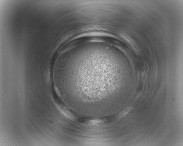 X0000068850158200605051222