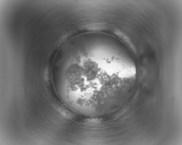 X0000068850161200605051222