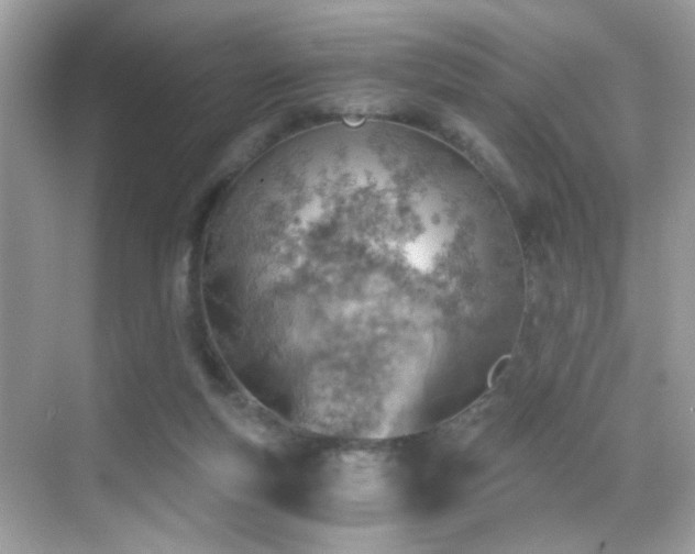 X0000068850163200605051222