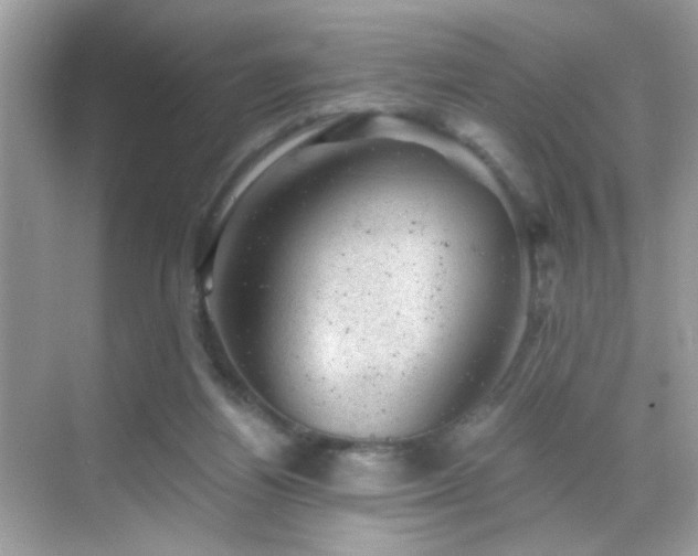 X0000068850164200605051222