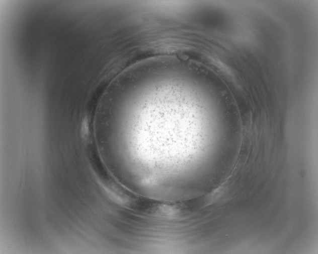 X0000068850166200605051222