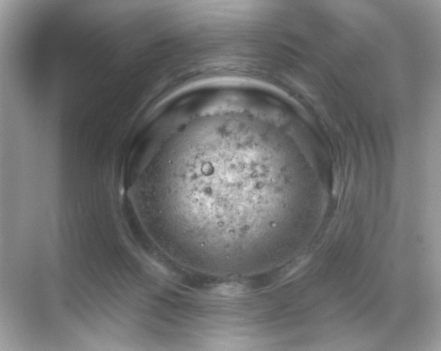 X0000068850168200605051222