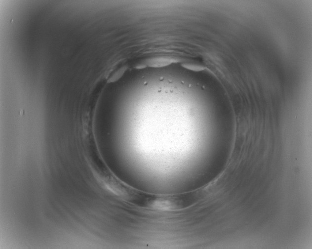 X0000068850171200605051222