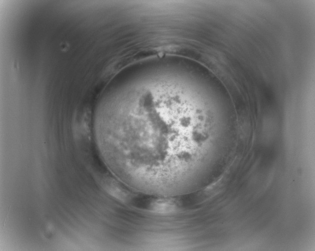 X0000068850175200605051222