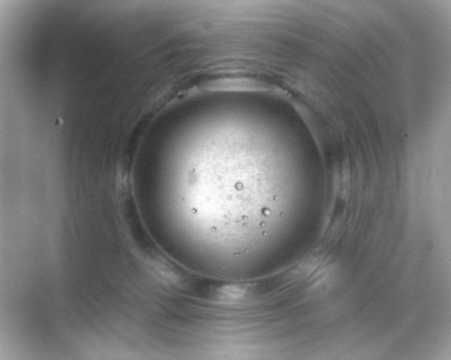 X0000068850176200605051222