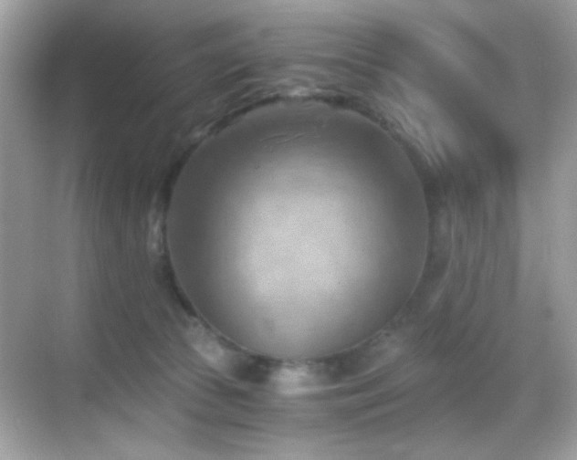 X0000068850177200605051222