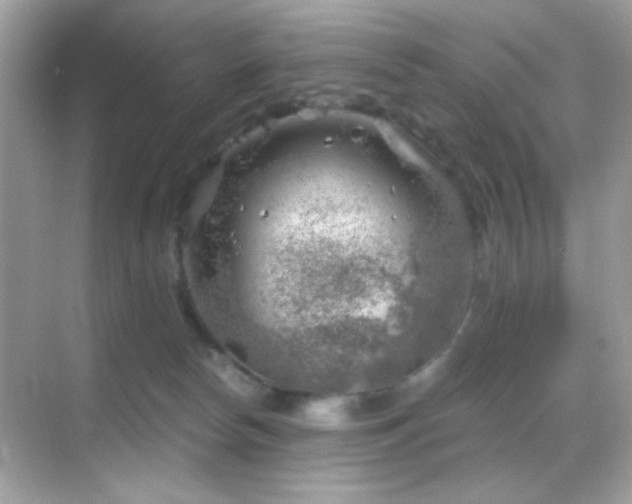 X0000068850178200605051222