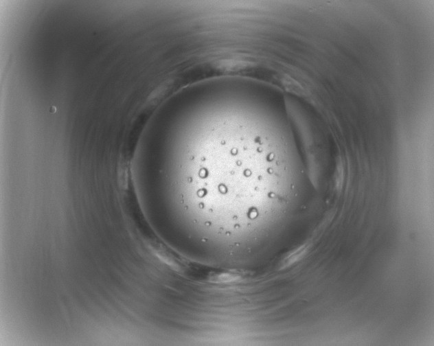 X0000068850180200605051222