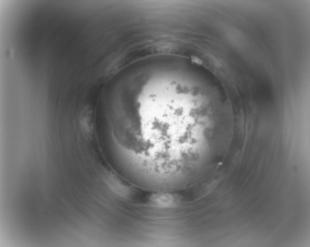 X0000068850181200605051222