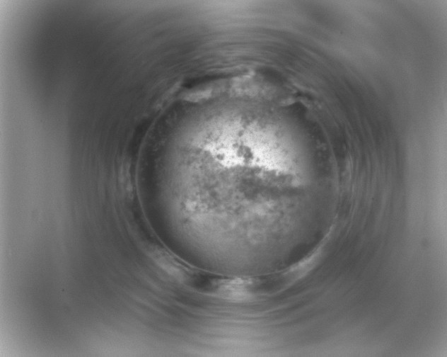 X0000068850182200605051222