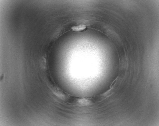 X0000068850183200605051222