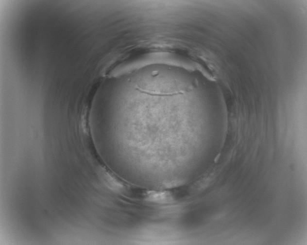 X0000068850185200605051222