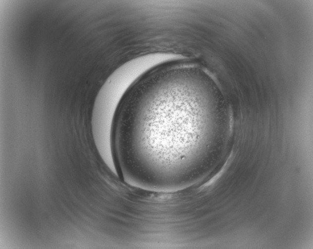 X0000068850186200605051222