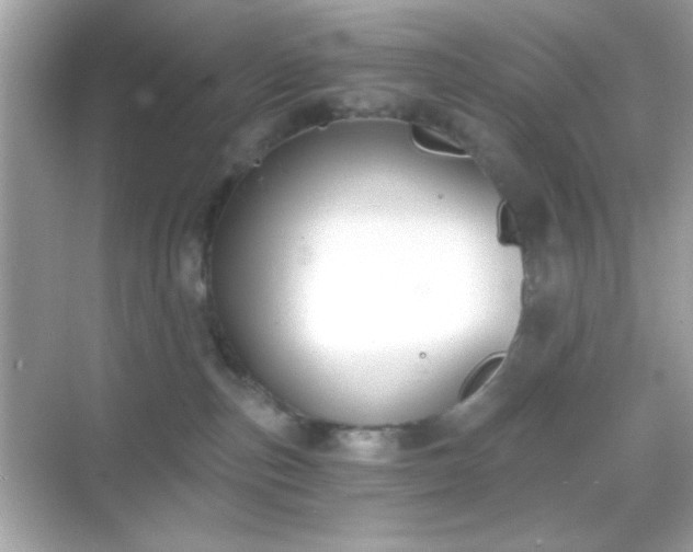 X0000068850187200605051222