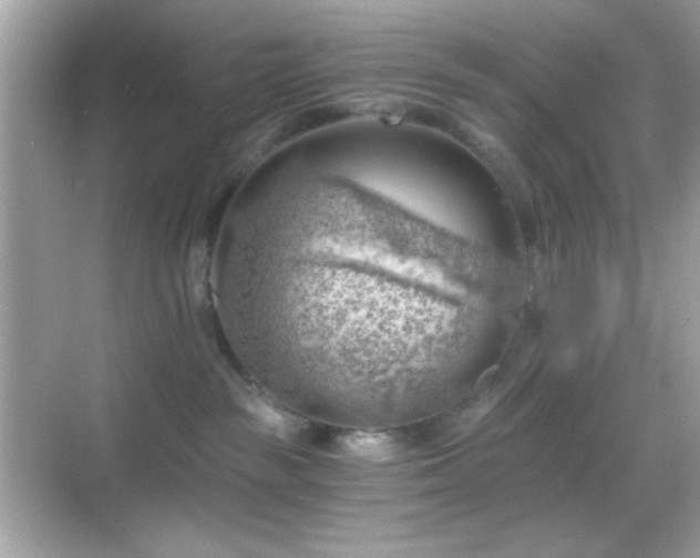 X0000068850189200605051222